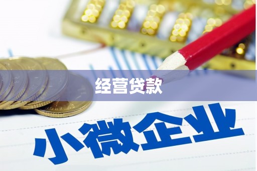 抚远经营贷款
