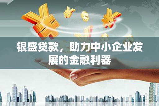 抚远银盛贷款，助力中小企业发展的金融利器