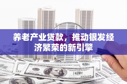 抚远养老产业贷款，推动银发经济繁荣的新引擎