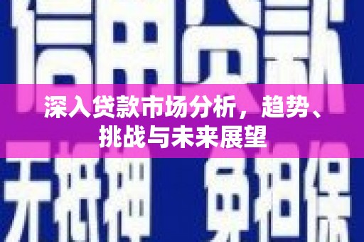 抚远深入贷款市场分析，趋势、挑战与未来展望