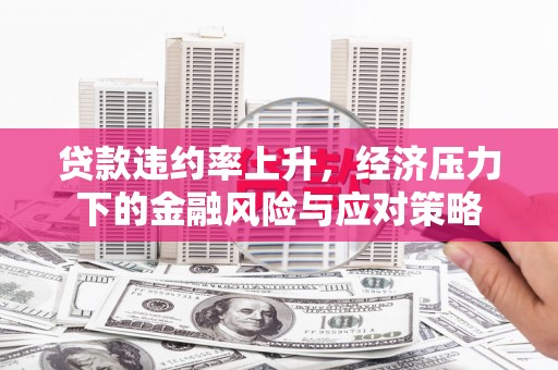 抚远贷款违约率上升，经济压力下的金融风险与应对策略