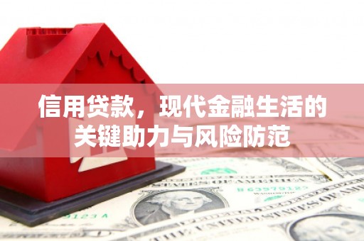 抚远信用贷款，现代金融生活的关键助力与风险防范