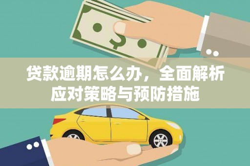 抚远贷款逾期怎么办，全面解析应对策略与预防措施
