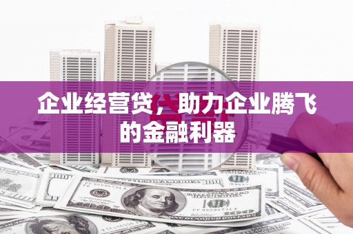 抚远企业经营贷，助力企业腾飞的金融利器