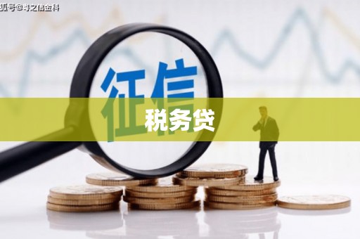 抚远税务贷