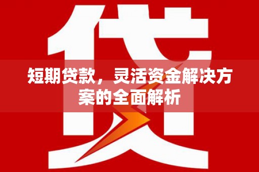 抚远短期贷款，灵活资金解决方案的全面解析