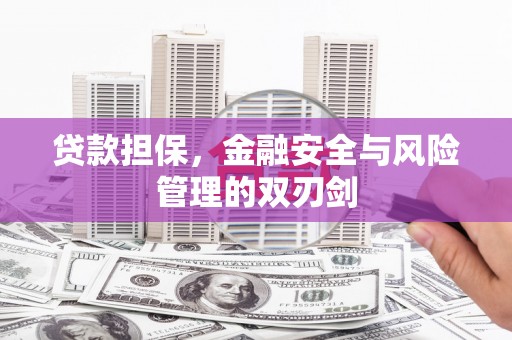 抚远贷款担保，金融安全与风险管理的双刃剑