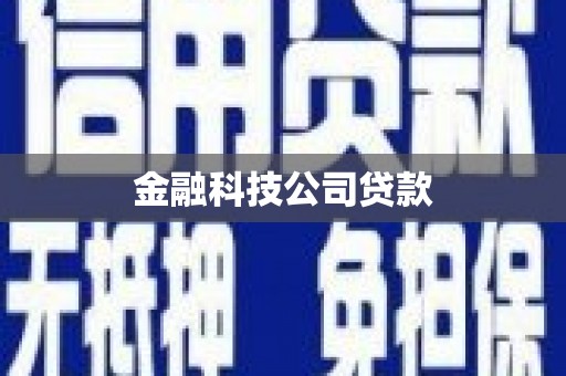 抚远金融科技公司贷款