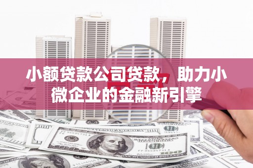 抚远小额贷款公司贷款，助力小微企业的金融新引擎