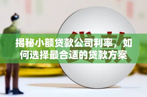 抚远揭秘小额贷款公司利率，如何选择最合适的贷款方案