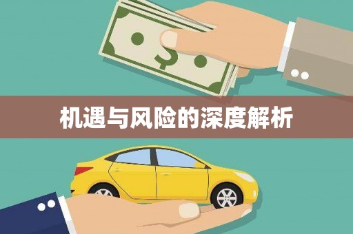 抚远机遇与风险的深度解析
