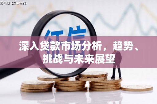 抚远深入贷款市场分析，趋势、挑战与未来展望