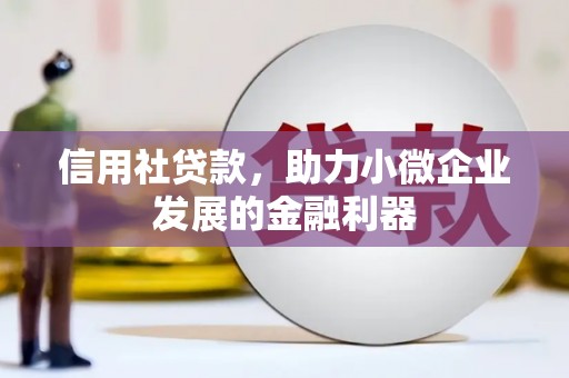 抚远信用社贷款，助力小微企业发展的金融利器