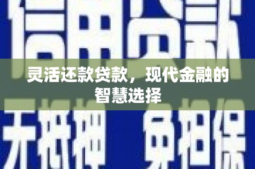 抚远灵活还款贷款，现代金融的智慧选择