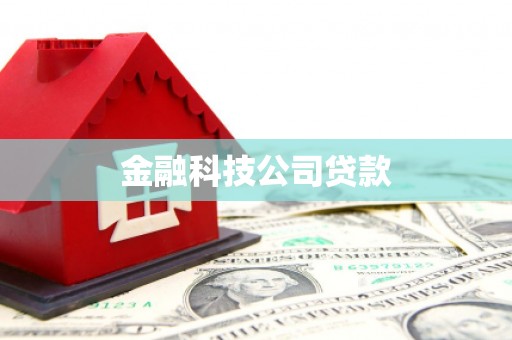 抚远金融科技公司贷款
