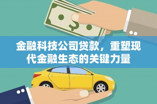 抚远金融科技公司贷款，重塑现代金融生态的关键力量