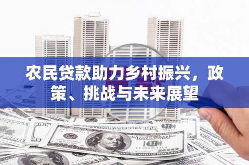 抚远农民贷款助力乡村振兴，政策、挑战与未来展望