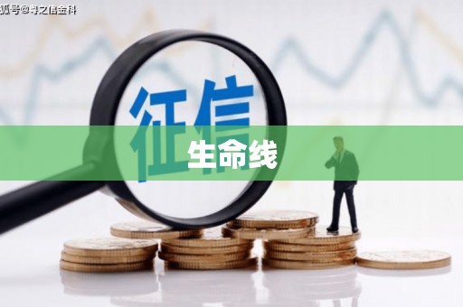 抚远生命线