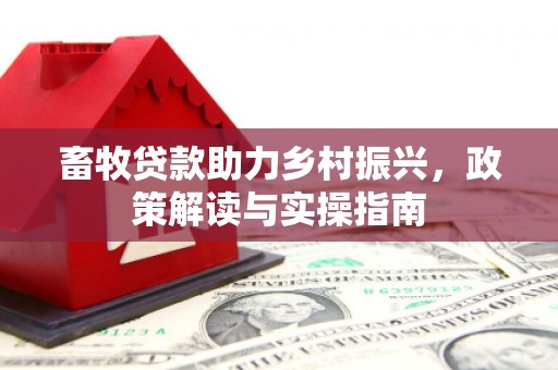 抚远畜牧贷款助力乡村振兴，政策解读与实操指南