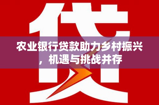 抚远农业银行贷款助力乡村振兴，机遇与挑战并存