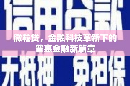 抚远微粒贷，金融科技革新下的普惠金融新篇章