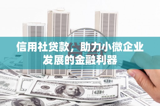 抚远信用社贷款，助力小微企业发展的金融利器
