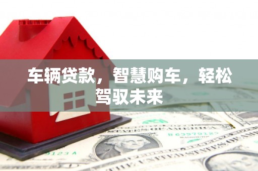 抚远车辆贷款，智慧购车，轻松驾驭未来