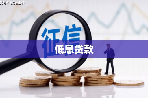 抚远低息贷款