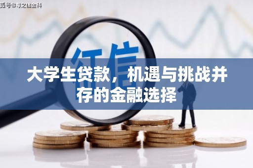 抚远大学生贷款，机遇与挑战并存的金融选择