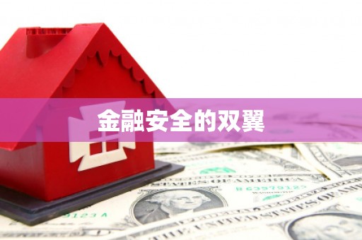 抚远金融安全的双翼
