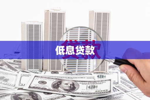 抚远低息贷款