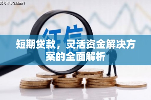 抚远短期贷款，灵活资金解决方案的全面解析