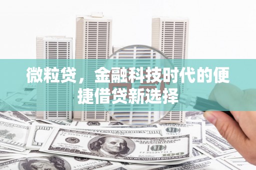 抚远微粒贷，金融科技时代的便捷借贷新选择