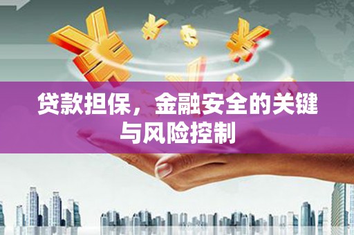 抚远贷款担保，金融安全的关键与风险控制