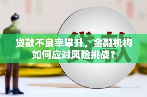 抚远贷款不良率攀升，金融机构如何应对风险挑战？