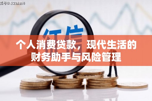 抚远个人消费贷款，现代生活的财务助手与风险管理