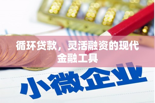 抚远循环贷款，灵活融资的现代金融工具