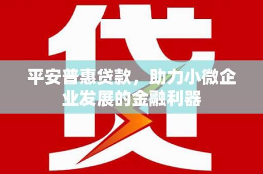 抚远平安普惠贷款，助力小微企业发展的金融利器