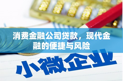 抚远消费金融公司贷款，现代金融的便捷与风险