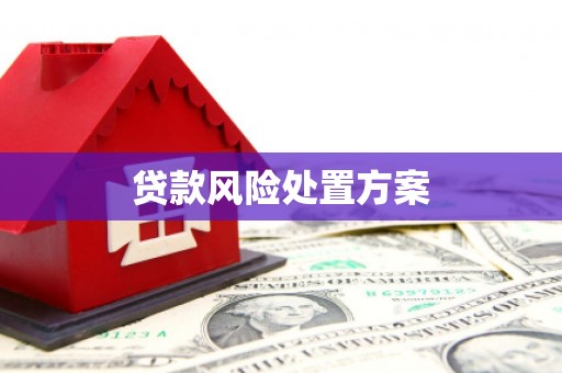 抚远贷款风险处置方案