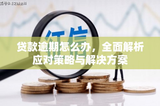 抚远贷款逾期怎么办，全面解析应对策略与解决方案