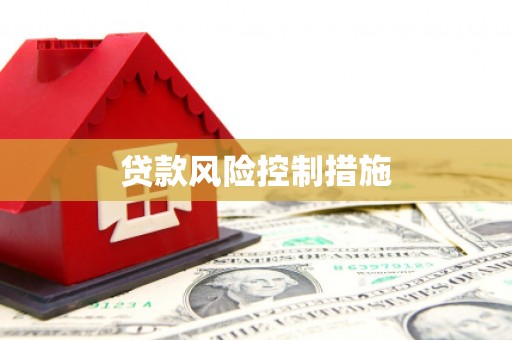 抚远贷款风险控制措施
