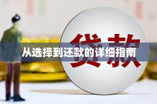 抚远从选择到还款的详细指南