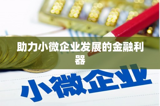 抚远助力小微企业发展的金融利器