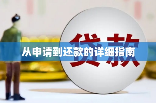 抚远从申请到还款的详细指南