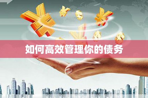 抚远如何高效管理你的债务