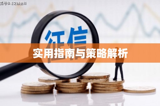 抚远实用指南与策略解析