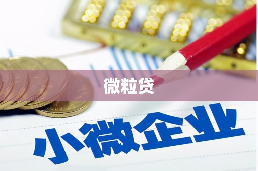 抚远微粒贷