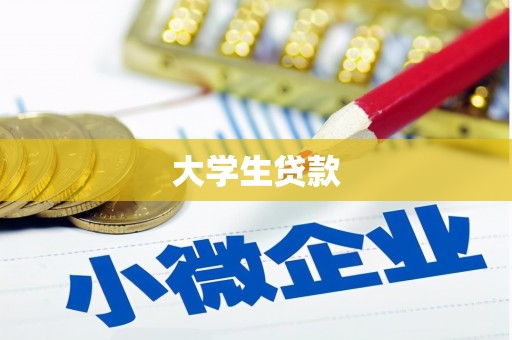 抚远大学生贷款