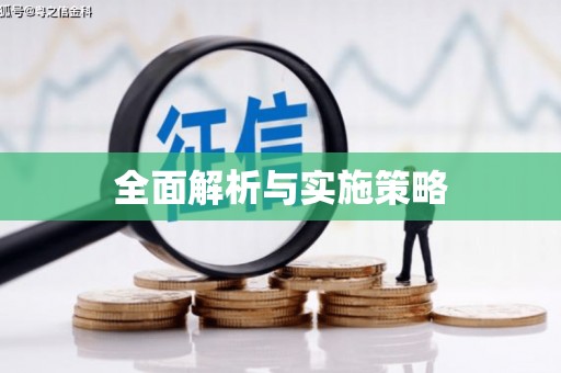 抚远全面解析与实施策略